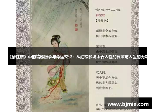 《醉红楼》中的情感纷争与命运交织：从红楼梦境中看人性的复杂与人生的无常