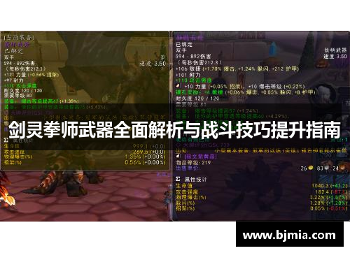 剑灵拳师武器全面解析与战斗技巧提升指南
