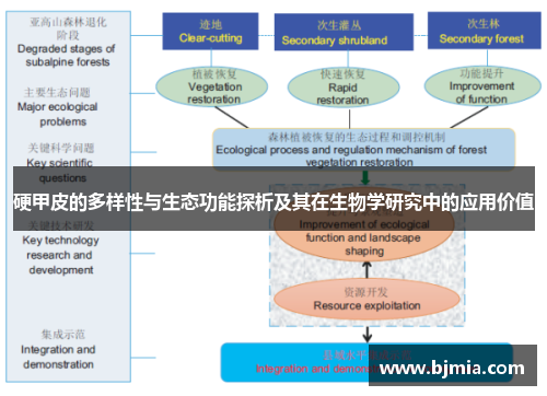 硬甲皮的多样性与生态功能探析及其在生物学研究中的应用价值